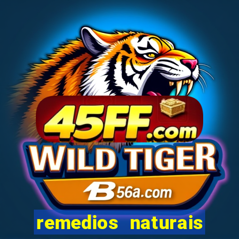 remedios naturais para diabetes